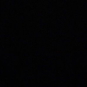 Meet your Posher, Riley